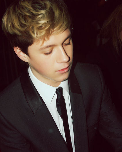 taking from http://onedirectionfc.forumlt.com/t181-niall-horan-bio